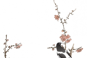 高清中国风花鸟PNG