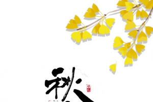 秋分银杏叶元素