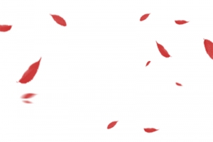 花瓣