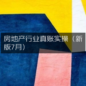 房地产行业实战真账操作指南（7月新版）