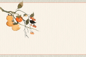美味柿子简约几何手绘黄色banner