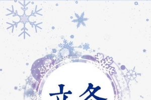 立冬花纹