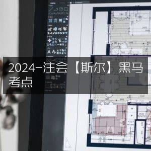 2024注会【斯尔教育】黑马级必考考点