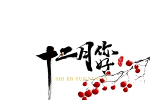 十二月你好 红果装饰元素