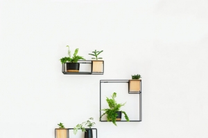 白色简约室内绿色植物