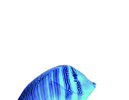 创意蓝色质感海底里的小丑鱼