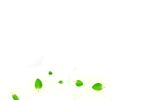水花 水波纹