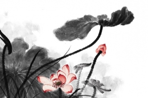 水墨莲花
