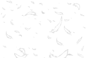白色卡通羽毛创意