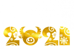 2021新年金色元素