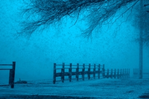 冬季,雪,树,栅栏,莫斯科风景3440x1440壁纸