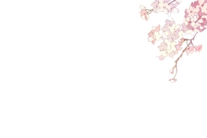 小巧 粉色花瓣png素材