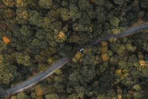 森林 道路 鸟瞰图 树木 树梢 汽车 4k壁纸 3840x2160