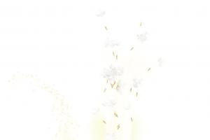 翻开的书
