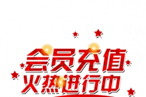 会员充值艺术字