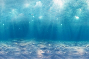 海底