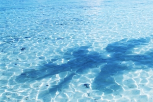 海洋水纹背景banner