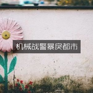 机械战警，狂怒都市