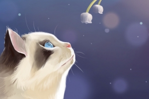 可爱猫唯美插画