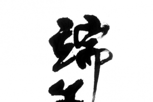 端午佳节情意浓