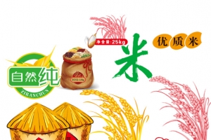 五谷杂粮素材