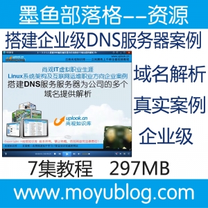 企业级DNS服务器搭建，实战案例深度剖析视频教程
