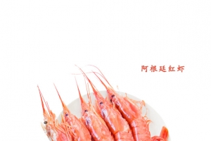 阿根廷红虾