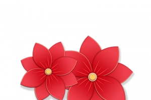 小红花，小红花