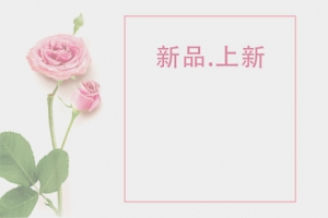 蔷薇简约大气上新淘宝天猫banner