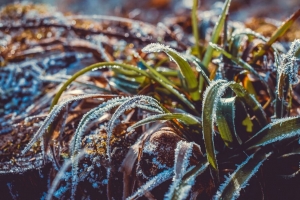 草 霜 雪 宏 模糊 4k壁纸 3840x2160