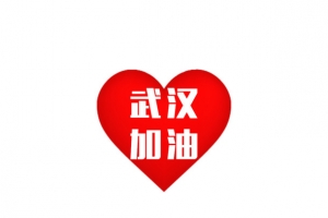 红心武汉加油