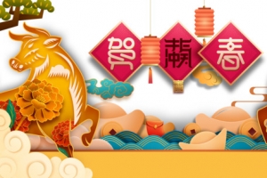 春节除夕贺新春剪纸牛祥云元宝灯笼