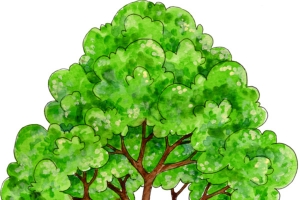矢量大树——植树节免扣素材