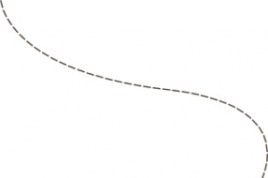 曲线植物高清PNG透明装饰元素设计素材免费下载