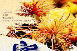 空庭得秋长漫漫，寒露入暮愁衣单。