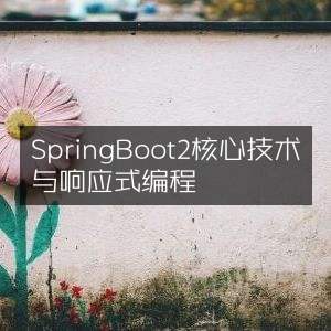 Spring Boot 2核心技术及响应式编程指南