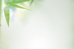 端午节海报 背景设计