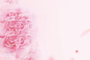女装玫瑰banner背景图