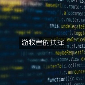 游牧者的文学抉择，艺术类书籍精选
