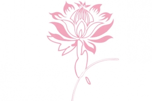 红色莲花造型花纹