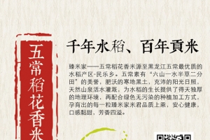 中国风大米风景海报