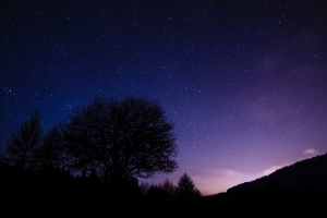 美丽的夜晚 树 星空 4K壁纸
