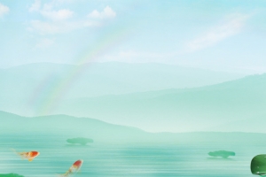 24节气夏至海报