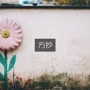 方药抄·古典文集精选