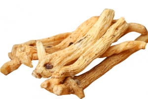 野生玉竹茶