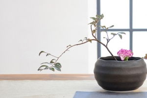 日本花艺插花图片
