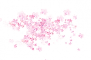 手绘梦幻樱花落花设计素材
