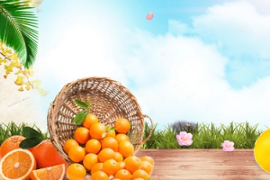 橙子果园蓝天小清新banner