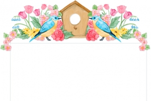 手绘花手绘小鸟信件边框