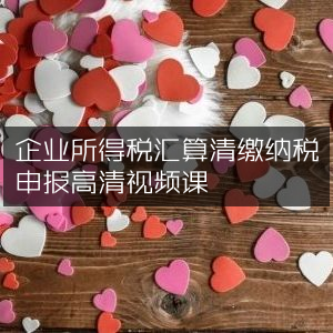 企业所得税汇缴申报高清视频教程